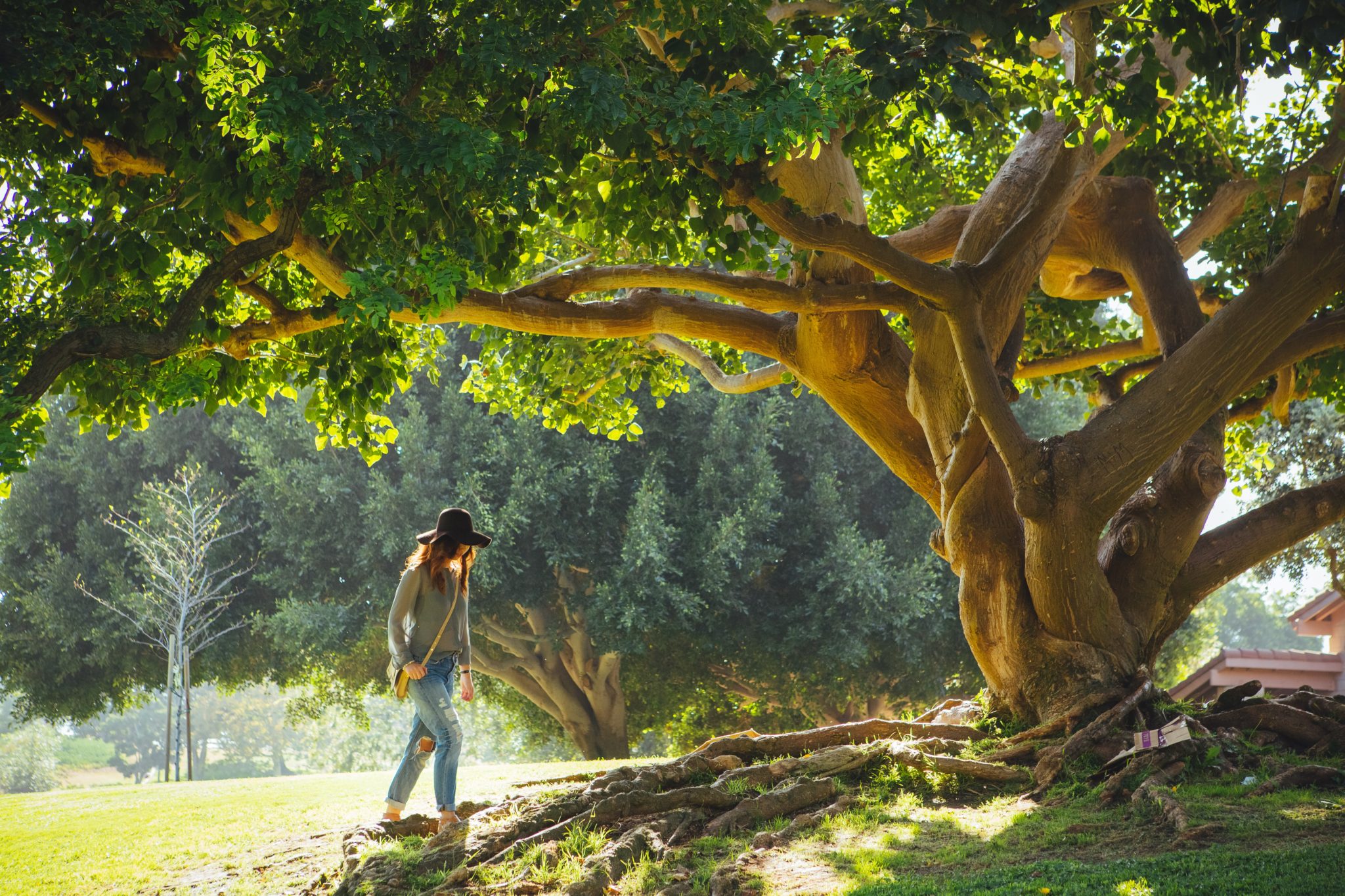 residential treatment for women includes a walk in natures tranquil settings