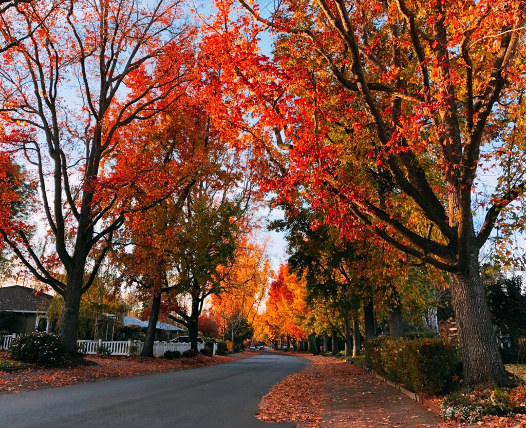 Atherton, California