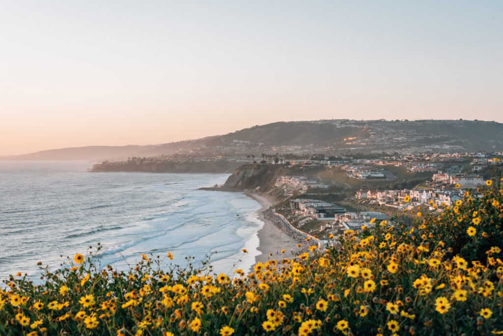 Rehab in Orange County